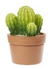 CREApop® Kaktusar 3D, ca 5,5 cm