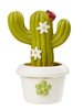 CREApop® Kaktusar I 3D, 5 cm