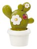 CREApop® Kaktus II 3D, 5 cm