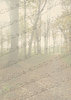 Brevpapir Skov i efteråret med egen tekst + logo