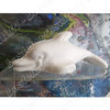 Styrofoam delfin 6 x 17 cm