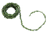 Garland of boxwood leaves 5m